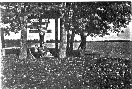  Zakrzewszczyzna, village (Geranenskiy rural council). Zabytkowy krzyż przy drodze z majątku przez Dębinę do Sobotnik. Według legendy postawiony na mogile żołnierzy Napoleona, którzy w czasie odwrotu spod Moskwy w 1812 r. masowo ginęli wskutek silnych mrozów. Kserokopia zdjęcia
