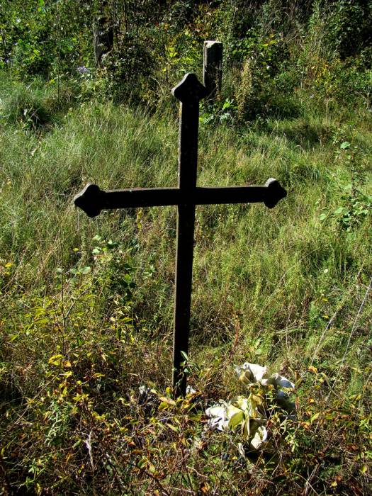  Гнесичи, деревня (Щорсовский сельсовет). 