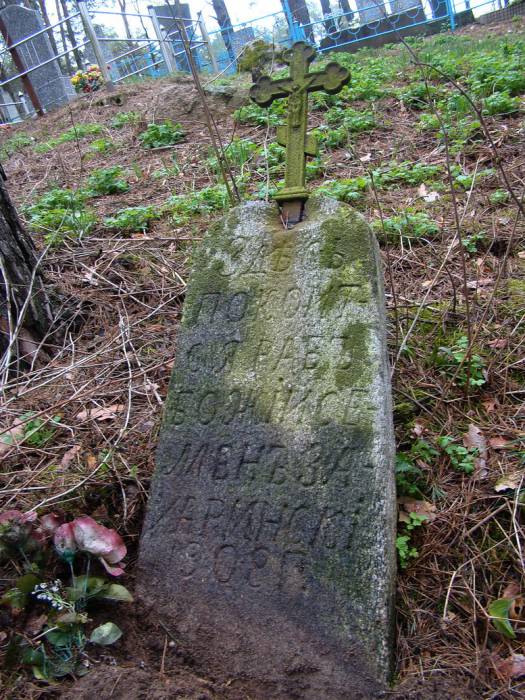  Сервечь, деревня (Малюшичский сельсовет). 