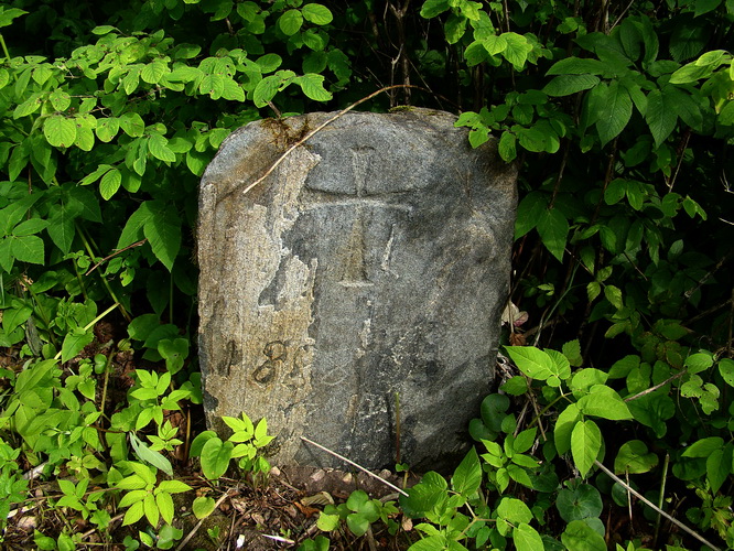  Zahorze, estate (Holszany rural commune). 