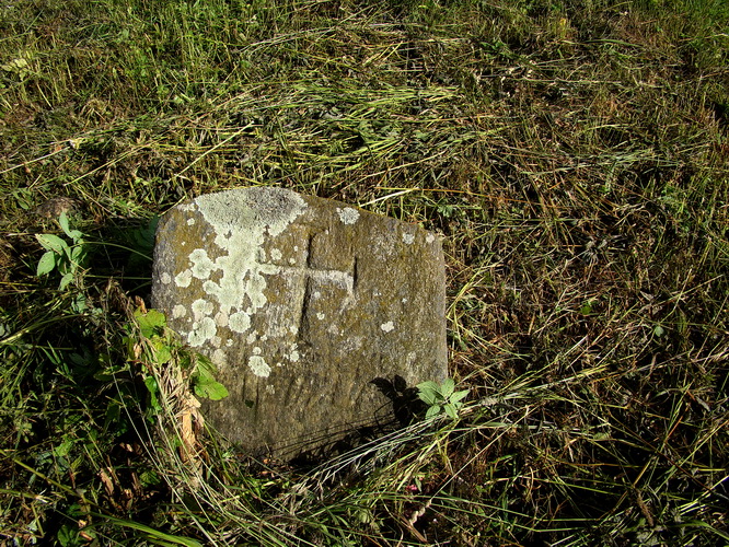  Zahorze, estate (Holszany rural commune). 