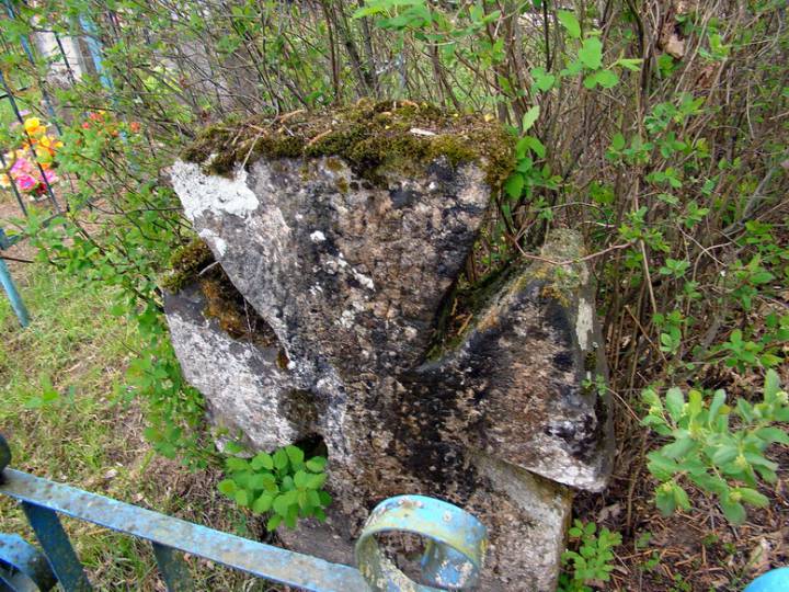  Zarzecze, wieś   (Maluszycze sielsowiet  ). 