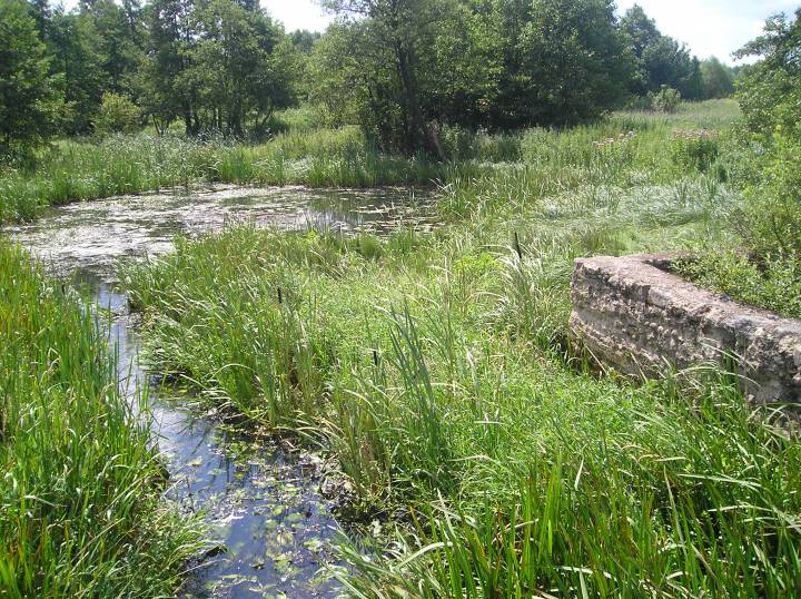  Левшово (Левсовщина), тып не пазначаны (Свіслач вясковая гміна). фундамент мельницы и заросшее озеро д.Горбачи ранее Левшово
