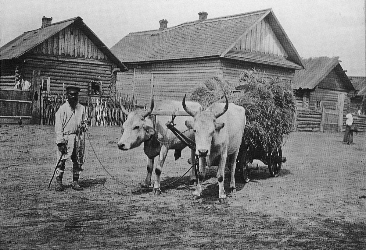  Bolshie Avtyutevichi, village (Vialikaaŭciukoŭski rural council). 1912 год<br>Фотограф Исаак Абрамович Сербава.<br> 
