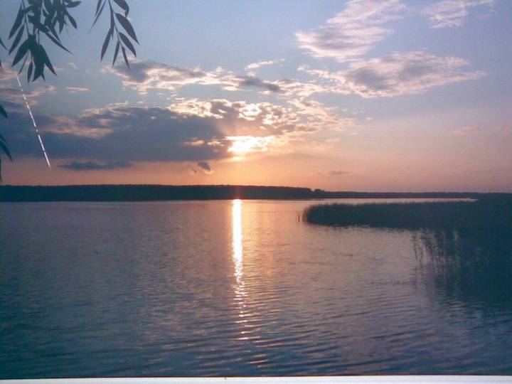  Кузьминичи, агрогородок (Кузьминичский сельсовет). 