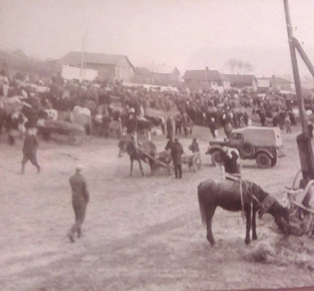  Ogorodnya Kuzminichskaya, village (Karmianski rural council). Ярмарка в Огородне