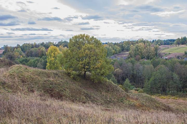  Radoml, agrotown (Radamlski rural council). Радамля (Чавускі раён). Гарадзішча. Другая пляцоўка