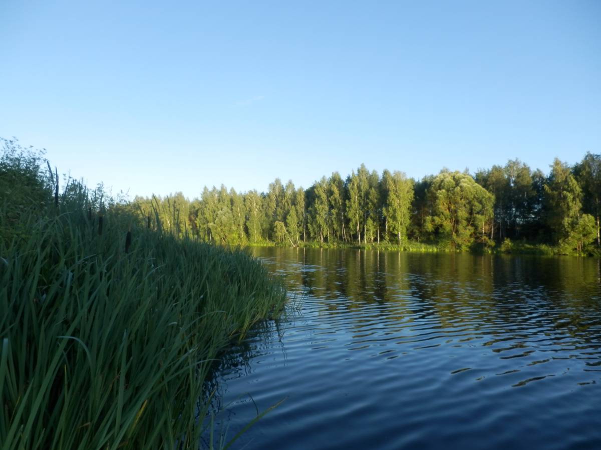  Sacharówka, wieś   (Dobraŭski sielsowiet  ). 