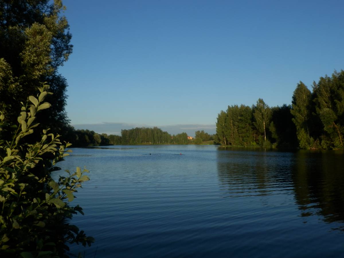  Сахараўка, вёска (Добраўскі сельсавет). 