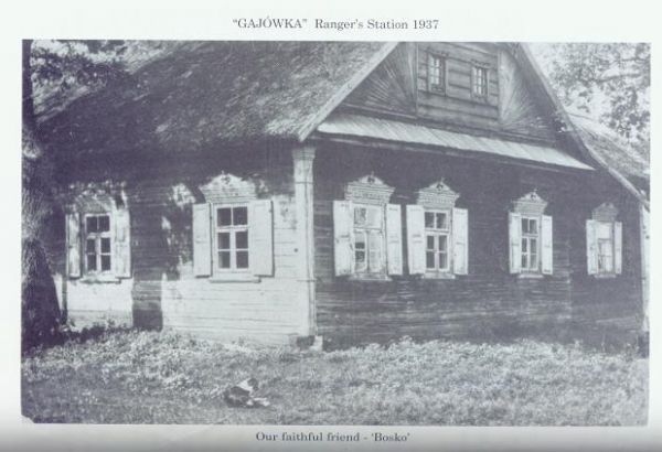  Stachów, wieś   (Płotnica sielsowiet  ). Gajówka nad Lachowcem.