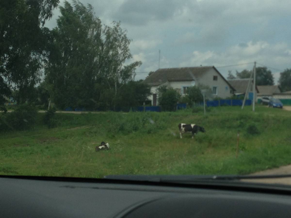  Падсолтава, аграгарадок (Падсолтаўскі сельсавет). Улица в Подсолтово