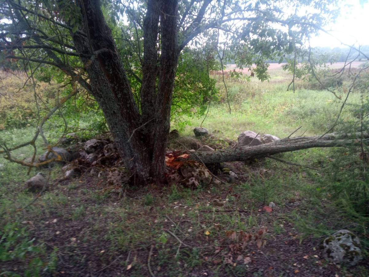  Nacha-Svaratchino, estate (Nachskaya volost). 