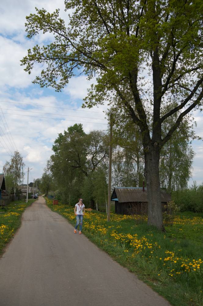  Старый Бобр, деревня (Бобрский сельсовет). закатанная в асфальт брусчатка в деревне