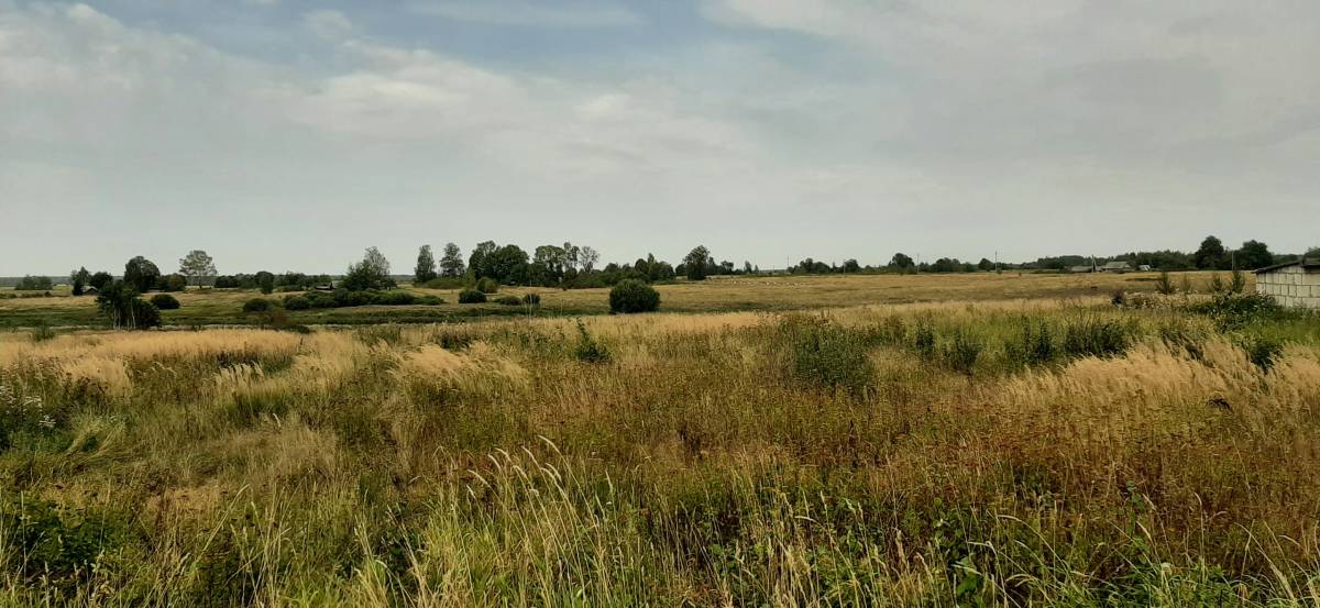  Глухи, деревня (Черноборский сельсовет). 