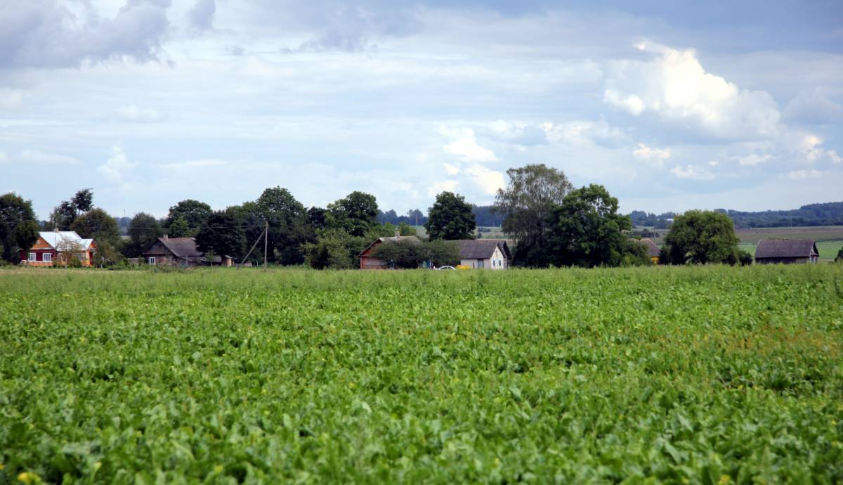  Шавры, деревня (Дотишский сельсовет). dawne Szawry - obecnie oznaczone jako Nowosady