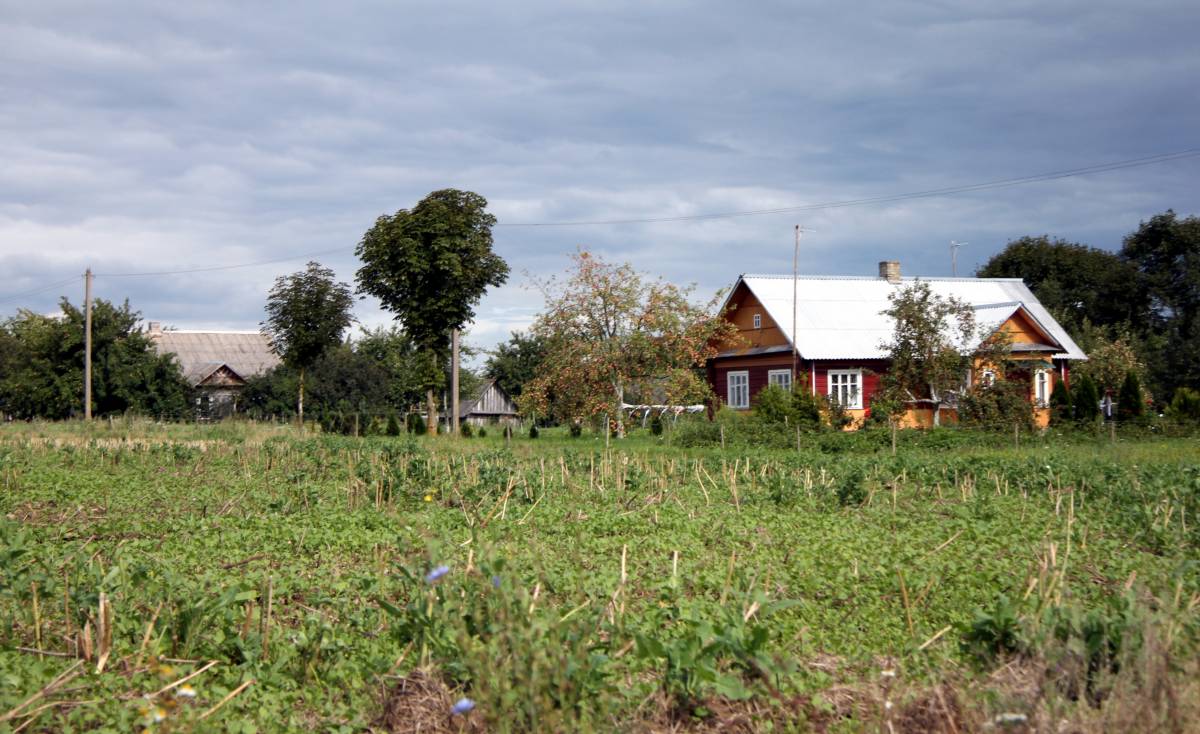  Шавры, деревня (Дотишский сельсовет). dawne Szawry - obecnie oznaczone jako Nowosady