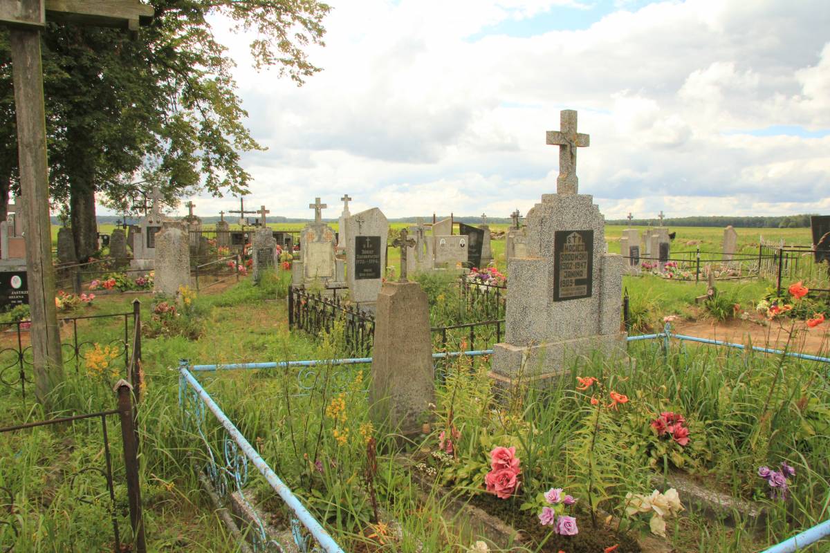  Шавры, деревня (Дотишский сельсовет). Cmentarz Szawry