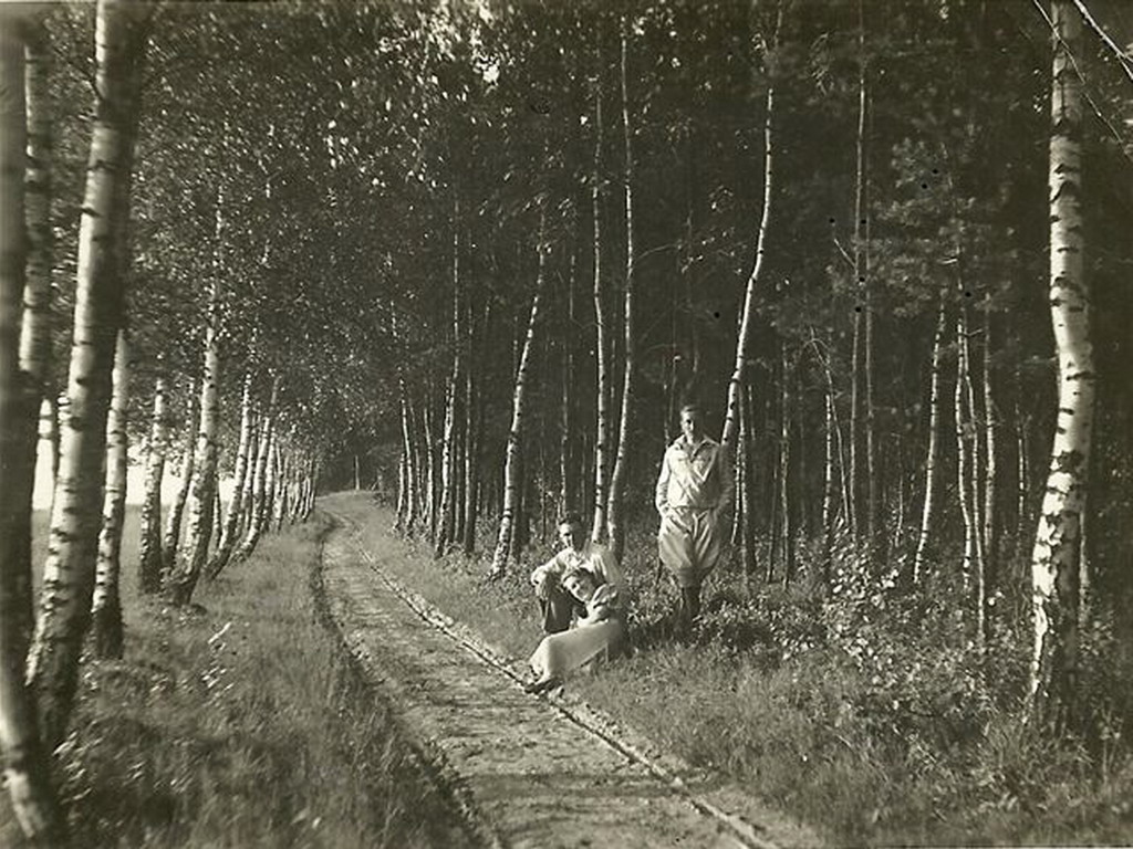  Bereśnie, folwark   (Stołowicze gmina wiejska  ). 