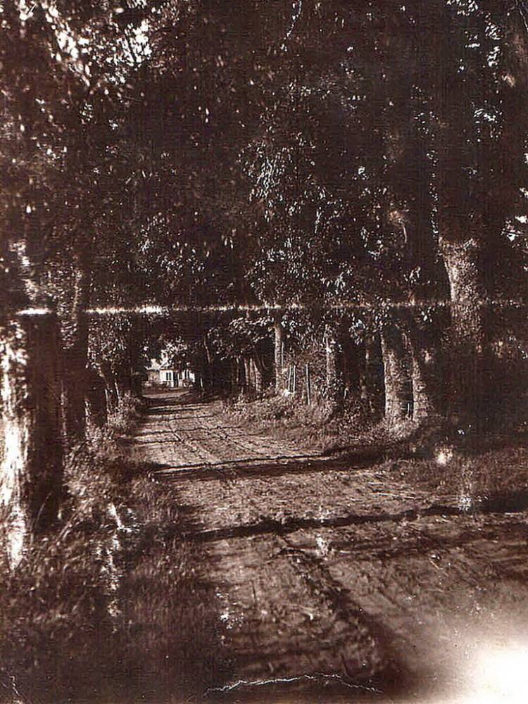  Wyszpol, folwark (Stołowicze rural commune). 