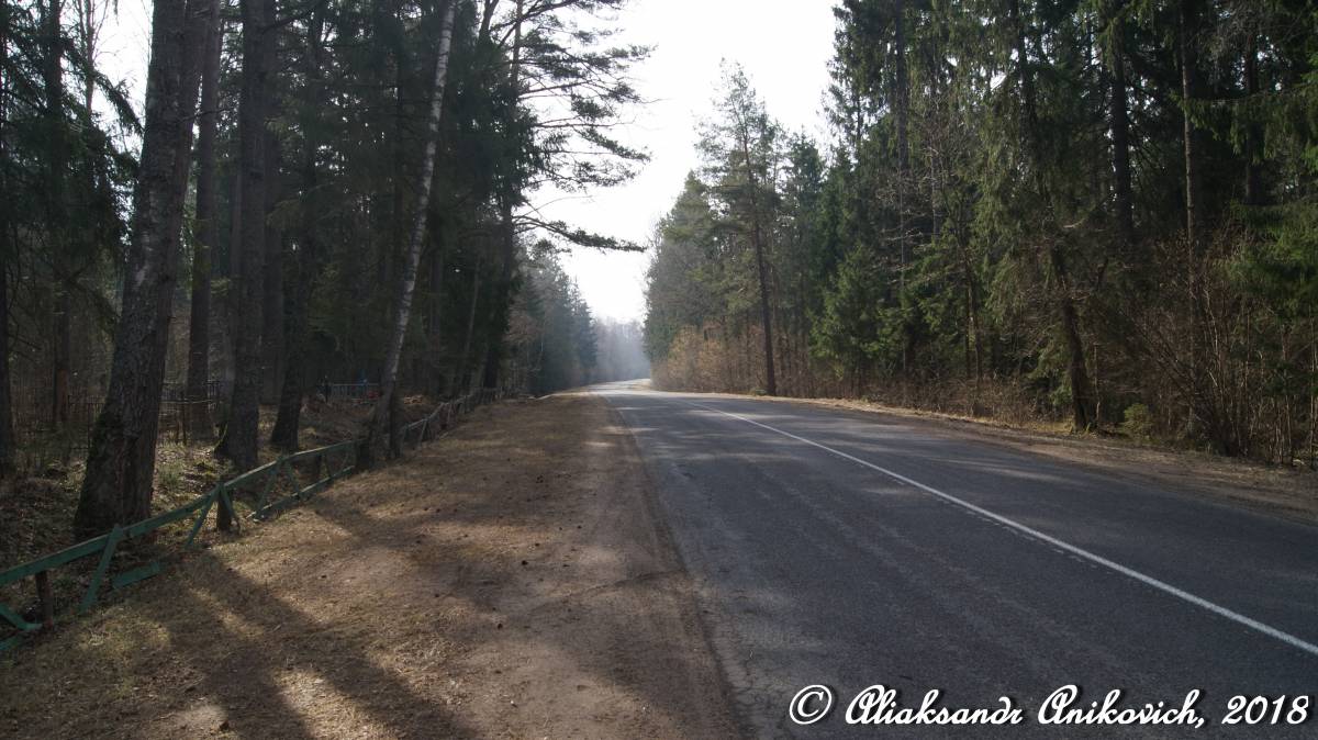  Osieczeno, wieś   (Akciabrski sielsowiet  ). Дорога Р62. Чашники — Бобр — Бобруйск. Участок дороги между Черея - Бобр: https://www.youtube.com/watch?v=oHijBJlzKPE
