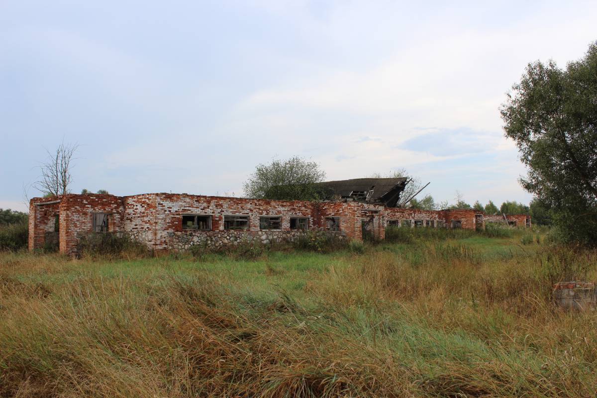  Medvedovo, village (Miažanski rural council). То, что осталось от коровника.<br>Медведево. 