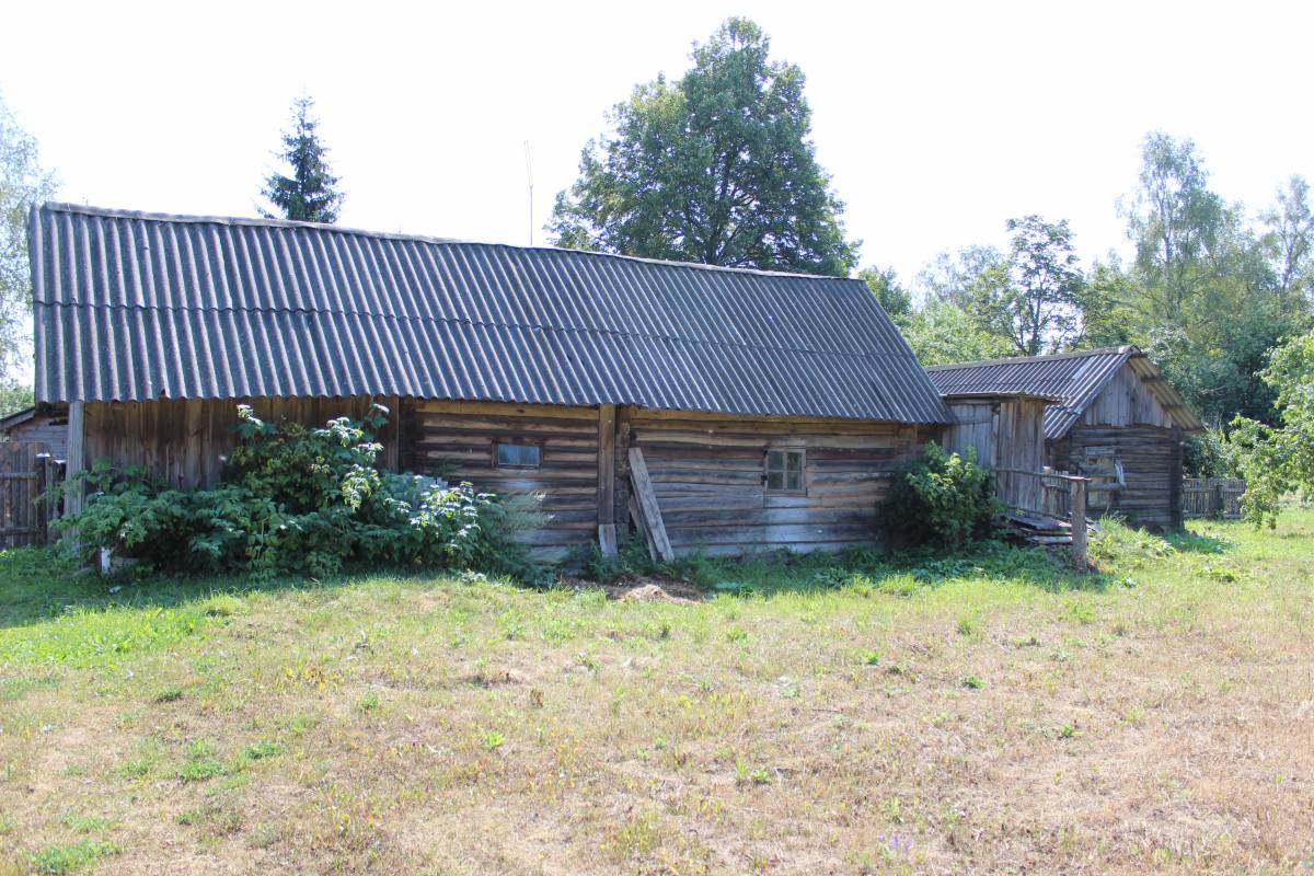  Медведево, деревня (Межанский сельсовет). Коровник и курятник.