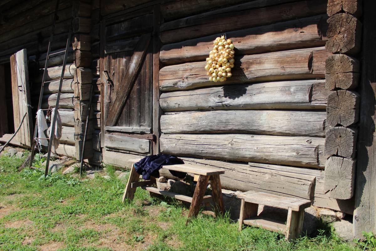  Медведево, деревня (Межанский сельсовет). Во дворе жилого дома.
