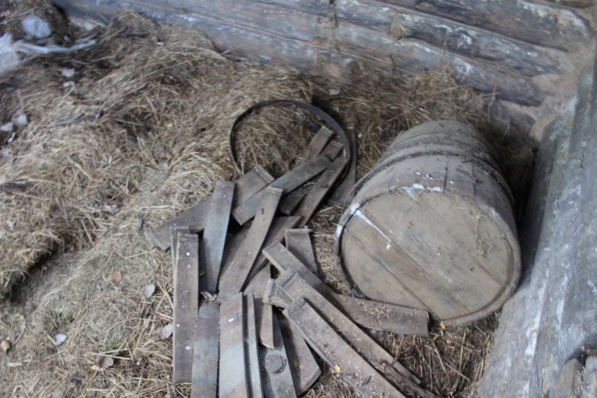 Медведево, деревня (Межанский сельсовет). В заброшенной риге (гумно). 