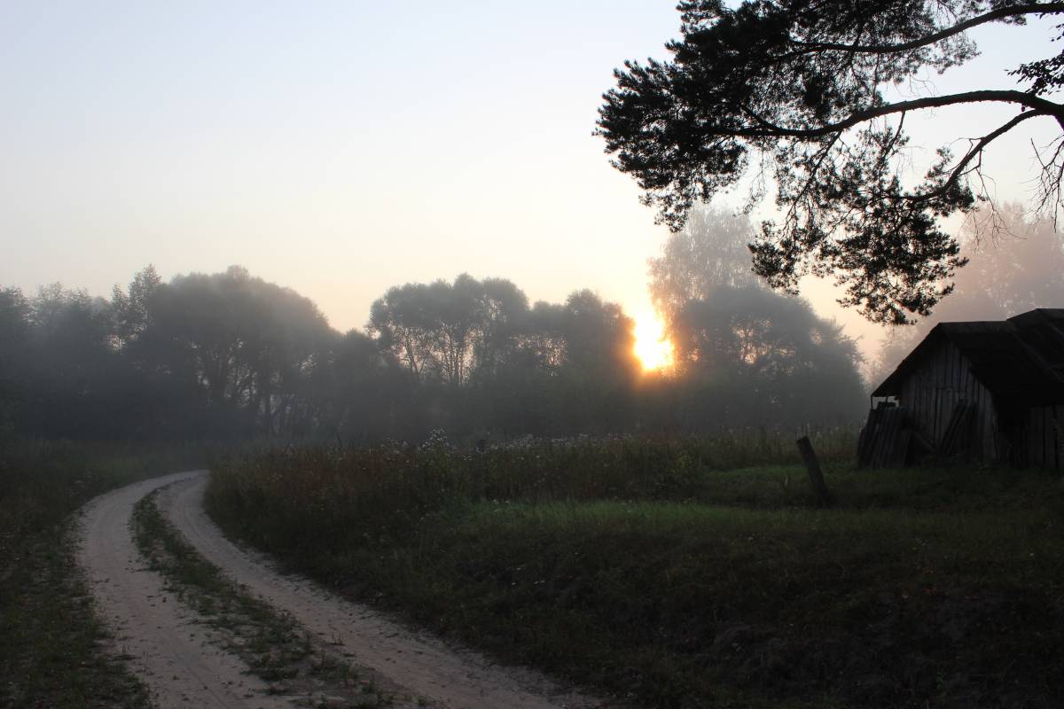  Medvedovo, village (Miažanski rural council). Главная дорога -  въезд в деревню.
