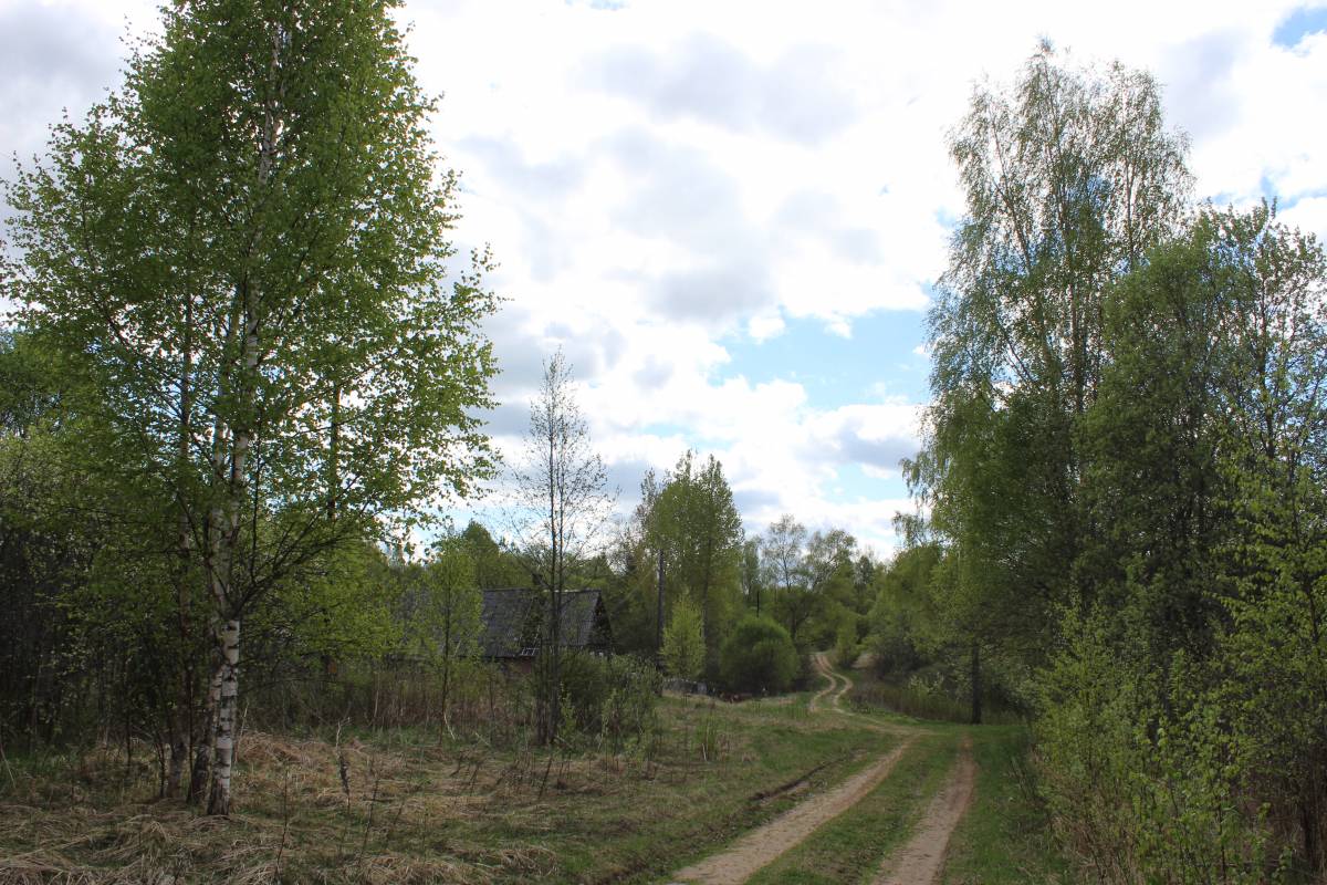  Medvedovo, village (Miažanski rural council). Главная (и единственная) улица деревни.