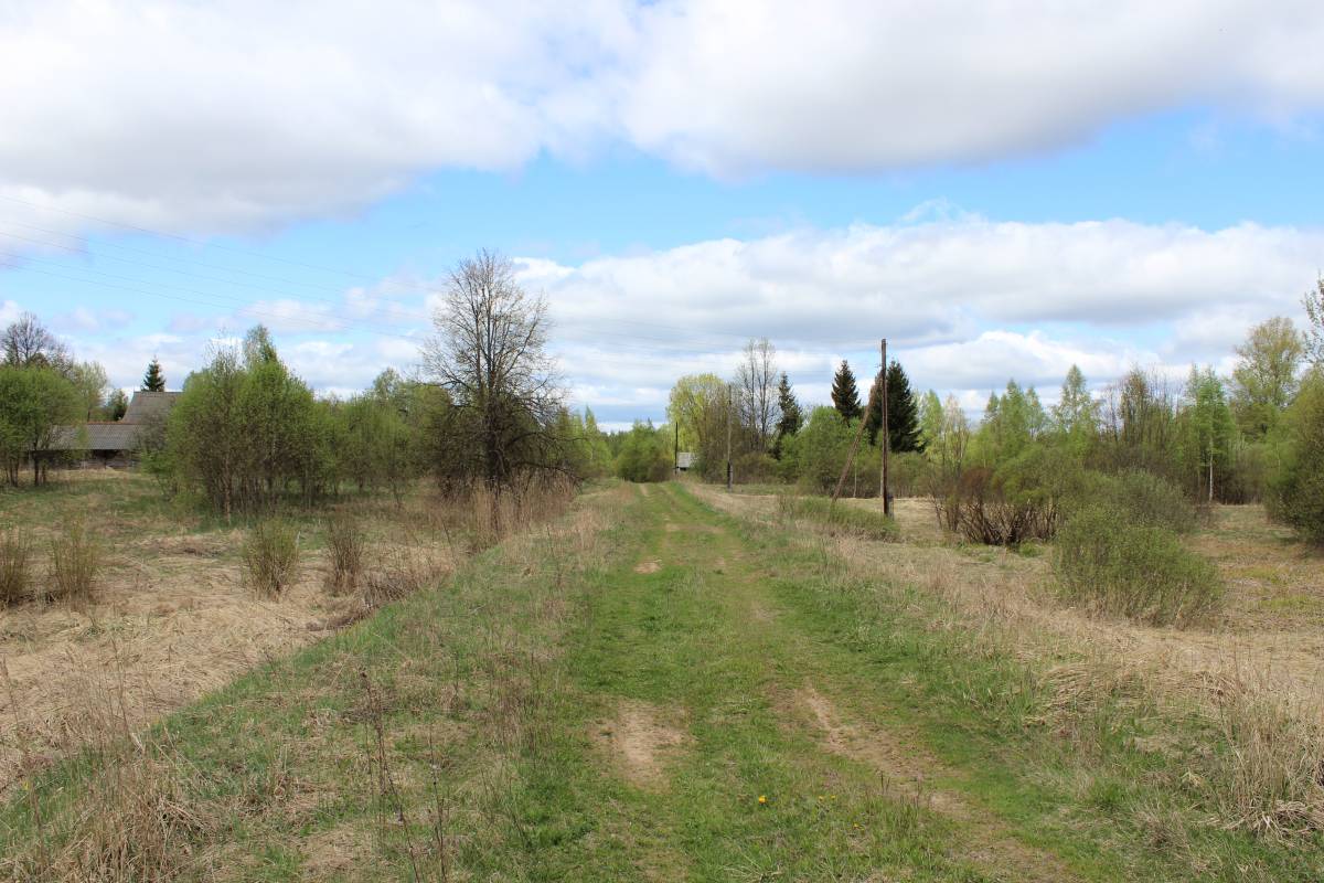  Medvedovo, village (Miažanski rural council). Дорога в деревню от коровника.