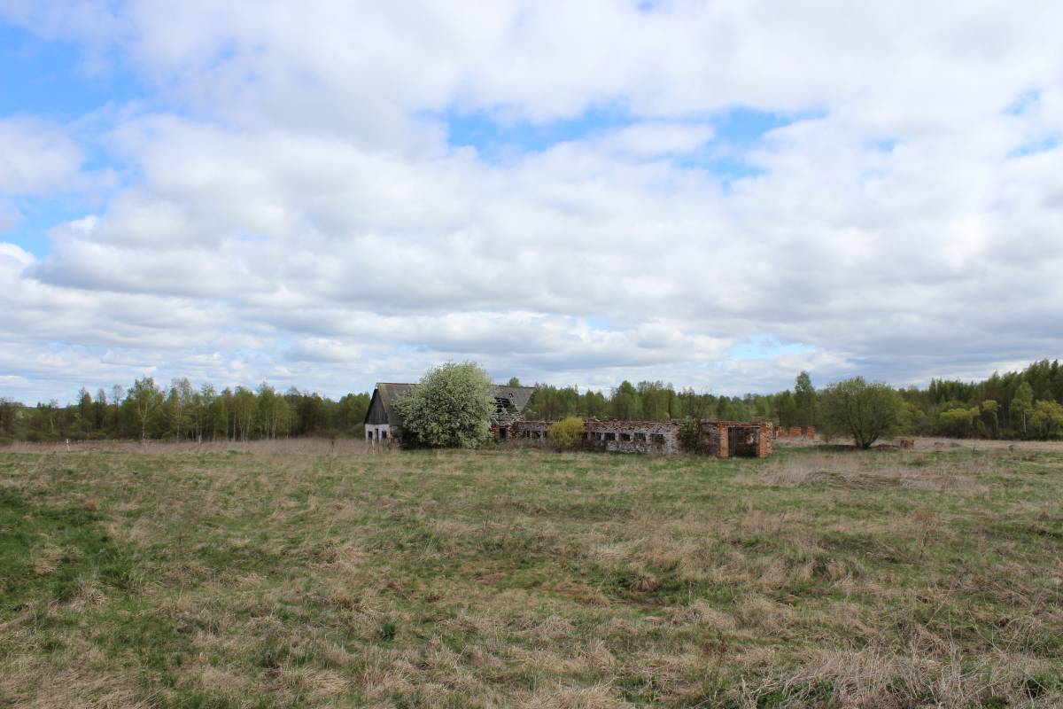  Medvedovo, village (Miažanski rural council). То, что осталось от коровника. Еще в  1995-х годах здесь держали крупное стадо в 75 голов.
