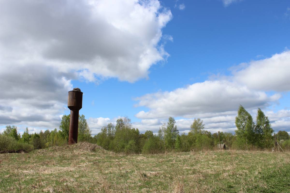  Medvedovo, village (Miažanski rural council). Башня и аисты.