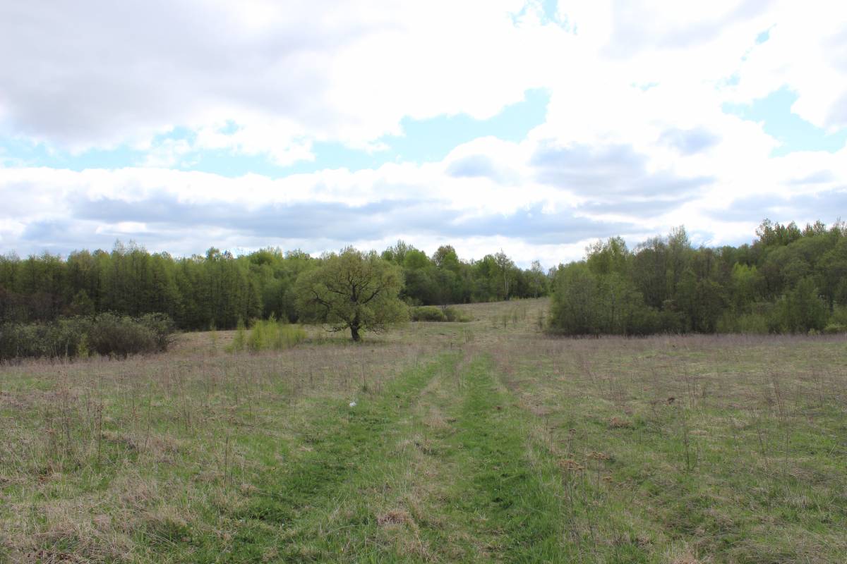  Medvedovo, village (Miažanski rural council). Дорога в соседнее Сяло, мы ходили за хлебом туда. А еще по этой дороге гоняли коров на выпас.