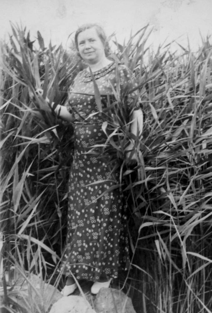  Воложин, город ( ). 