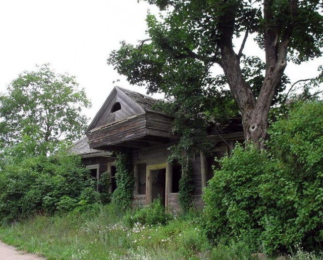  Дороговица, деревня (Потейковский сельсовет). 