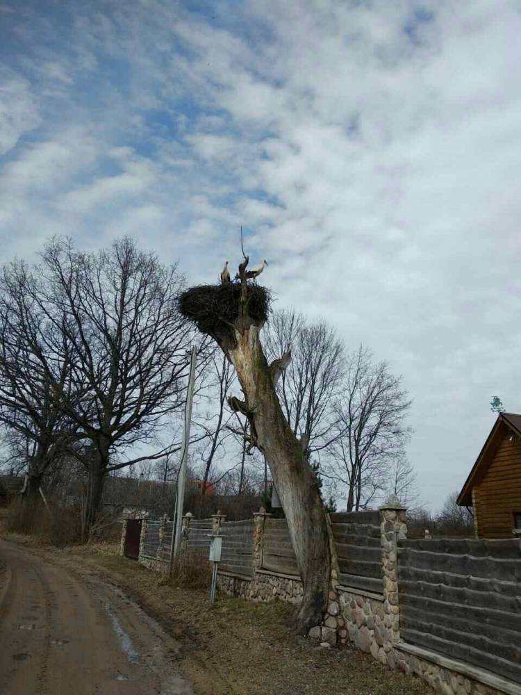 Мікрашы, вёска (Нарацкі сельсавет). 