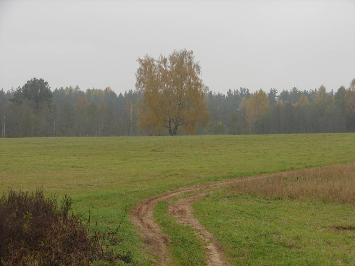  Jelnica, wieś   (Juchowicka wołość  ). 