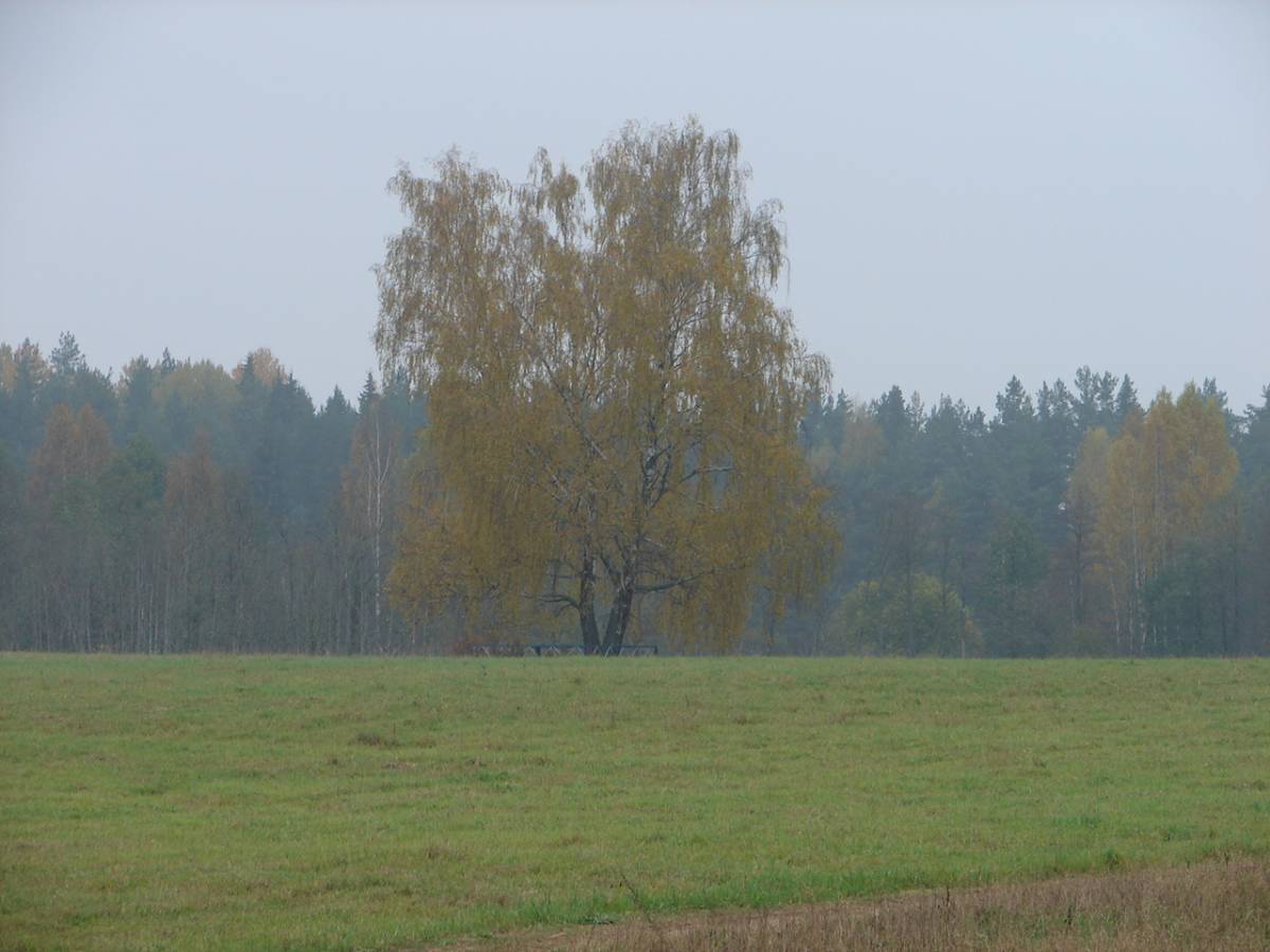  Jelnica, wieś   (Juchowicka wołość  ). 