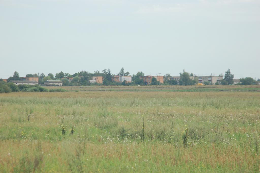  Saczkowicze, village (Pleščycki rural council). Вид на поселение со стороны дороги к кладбищу.