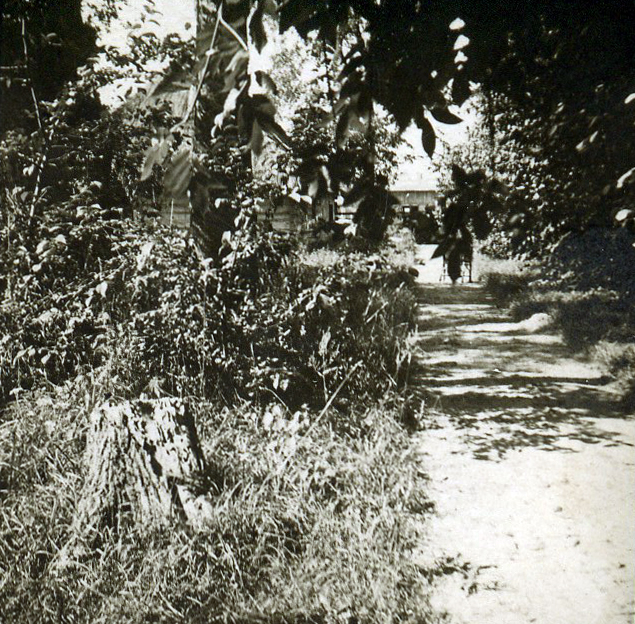  Лесково, фольварк (Стригово сельская гмина). droga do Dworu