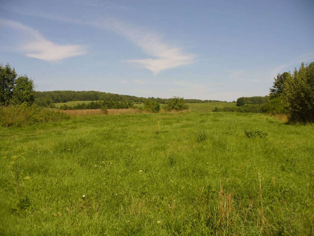  Czuczelice, wieś   (Naracki sielsowiet  ). 