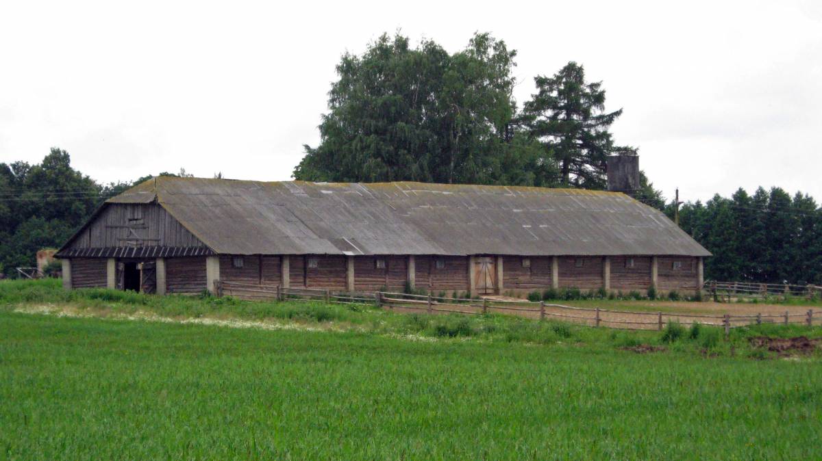  Мілушава, фальварак (Нягневічы вясковая гміна). Колхозная конюшня советских времен на месте владений помещика Девчупольского. Слева из-за угла деревянной конюшни выглядывает полуразрушенное кирпичное здание помещичьих времен. 