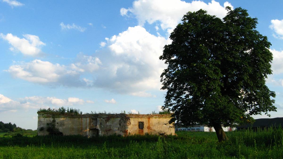  Мілушава, фальварак (Нягневічы вясковая гміна). Полуразрушенное кирпичное здание времен помещика Девчупольского на месте его исчезнувшей усадьбы. 