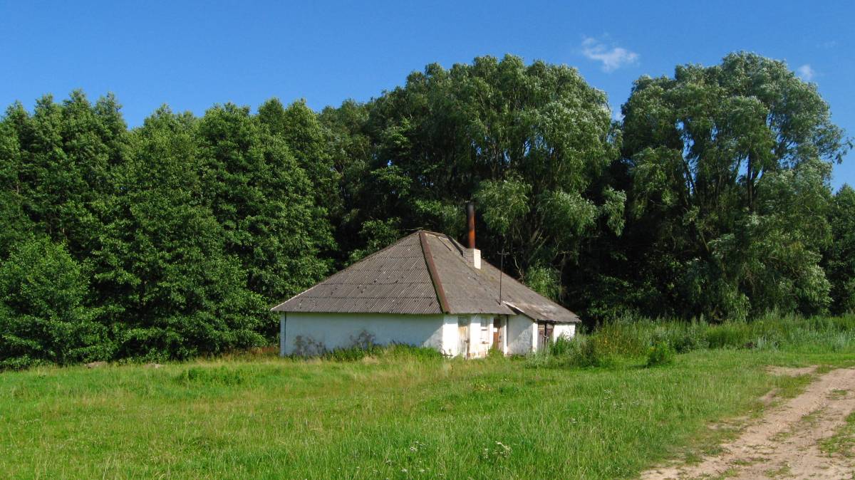  Miłaszewo, village (Negnevichskiy selsovet).  . <br> -  ,  - .<br>    2015. 