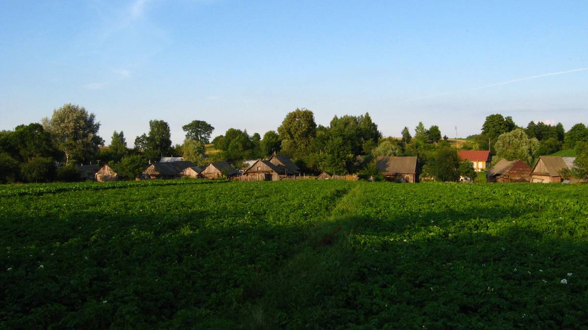  Miłaszewo, wieś (Niehniewicze sielsowiet).   .
