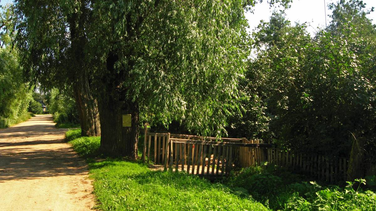  Miłaszewo, village (Negnevichskiy selsovet).   .