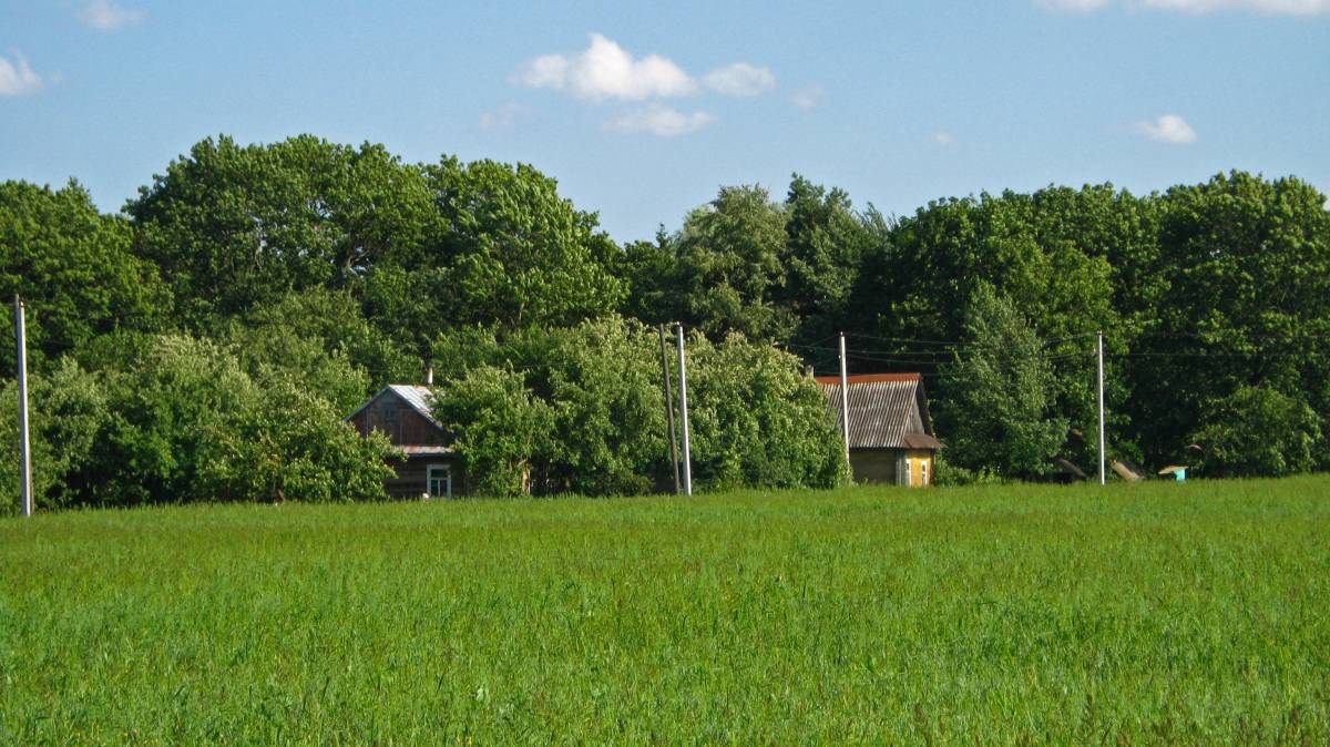  Miłaszewo, village (Negnevichskiy selsovet).  . 