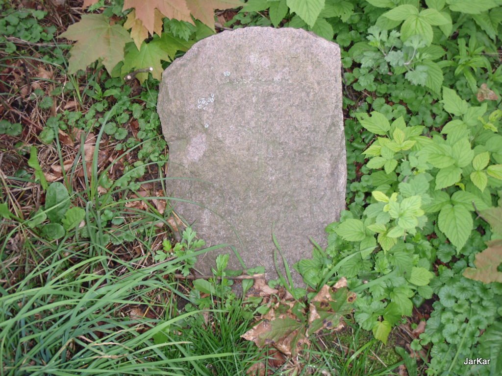  Соловьи, деревня (Кухчицкий сельсовет). Cmentarz Sołowje 2008r.