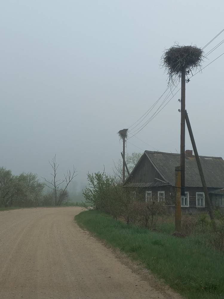  Stasiuki, wieś   (Tewle sielsowiet  ). общий вид улицы д. Стасюки